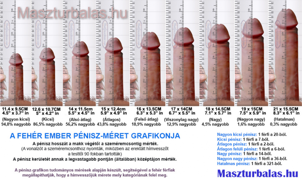 Péniszméret grafikon - A fehér ember péniszméretének kategóriái. 